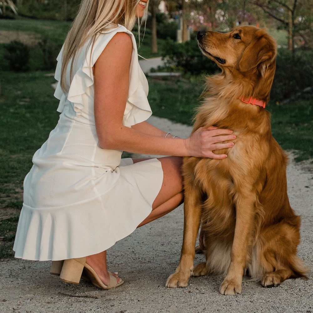 Altard state graduation dress - Picture 4 of 6